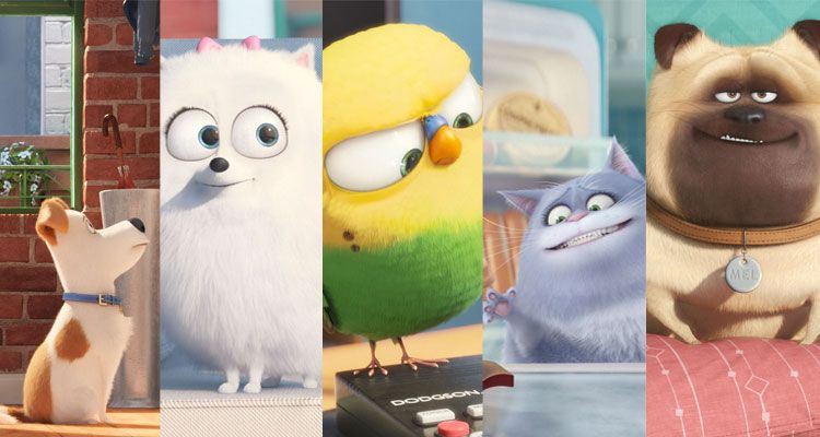 mascotas